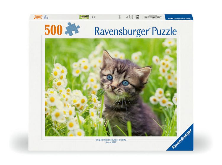 Produktbild: Erwachsenenpuzzle 500 Teile - K&auml;tzchen in der Wiese