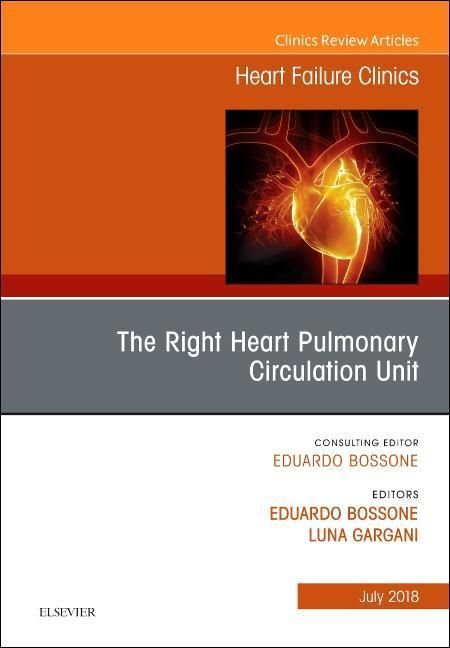 Produktbild: The Right Heart - Pulmonary Circulation Unit, an Issue of Heart Failure Clinics