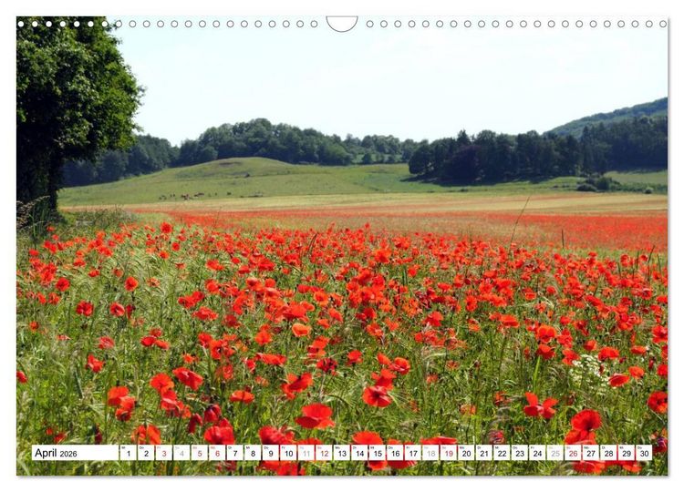 Produktbild: Naturlandschaft Laacher See (Wandkalender 2026 DIN A3 quer), CALVENDO Monatskalender