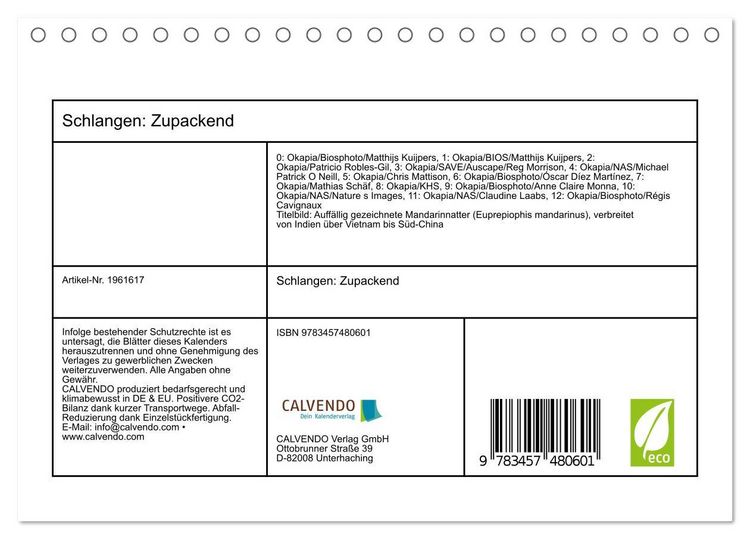 Produktbild: Schlangen: Zupackend (Tischkalender 2026 DIN A5 quer), CALVENDO Monatskalender