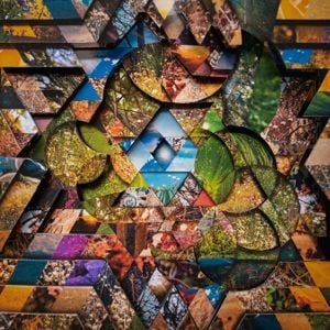 Produktbild: Les Jardins Mystiques Vol.1