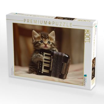Produktbild: CALVENDO Puzzle Harmonika-K&auml;tzchen | 1000 Teile Lege-Gr&ouml;&szlig;e 64x48cm Foto-Puzzle f&uuml;r gl&uuml;ckliche Stunden