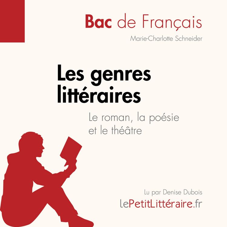 Produktbild: Les genres litt&eacute;raires - Le roman, la po&eacute;sie et le th&eacute;&acirc;tre (Bac de fran&ccedil;ais))