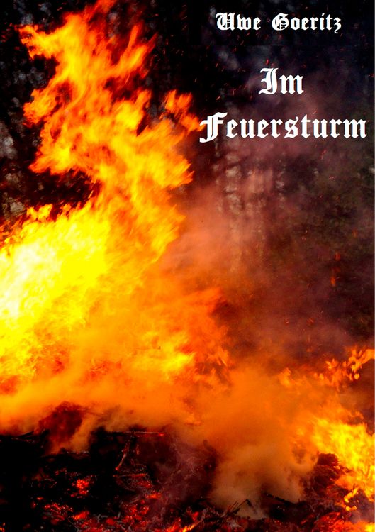 Produktbild: Im Feuersturm