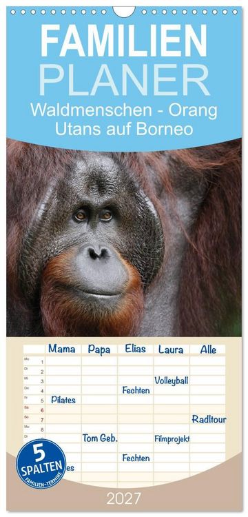 Produktbild: Familienplaner 2027 - Waldmenschen - Orang Utans auf Borneo mit 5 Spalten (Wandkalender, 21 x 45 cm) CALVENDO