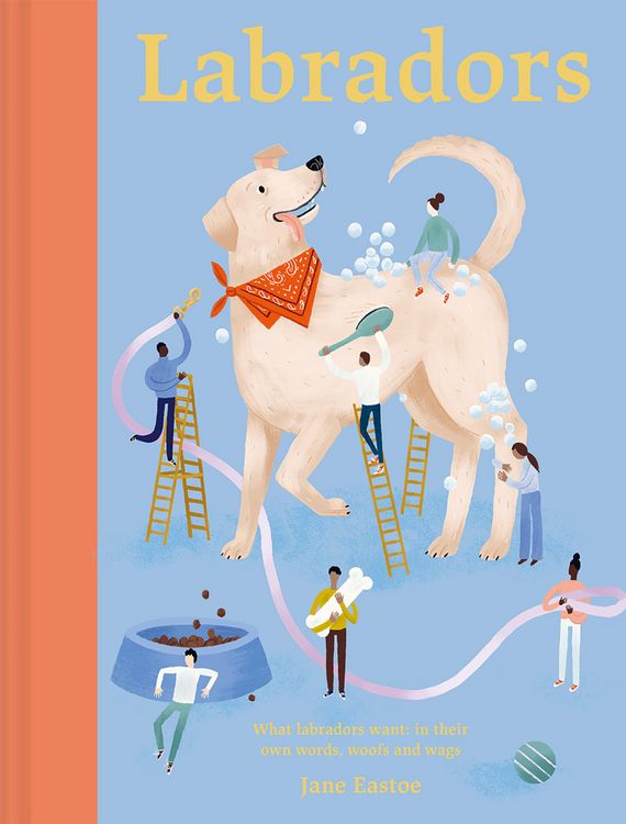 Produktbild: Labradors