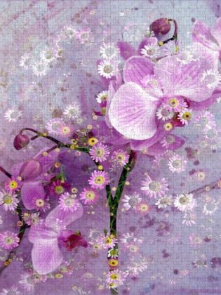 Produktbild: CALVENDO Puzzle Verspielte Romantische Rosa Orchidee | 1000 Teile Lege-Gr&ouml;&szlig;e 64x48cm Foto-Puzzle f&uuml;r gl&uuml;ckliche Stunden