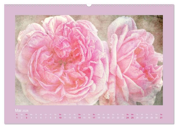 Produktbild: Romantische Rosen (Wandkalender 2026 DIN A2 quer), CALVENDO Monatskalender