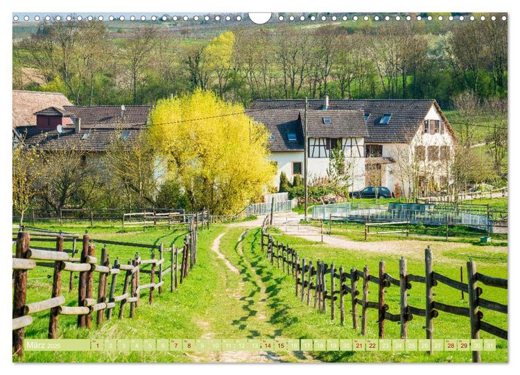 Produktbild: Rheinhessen-Impressionen (Wandkalender 2026 DIN A3 quer), CALVENDO Monatskalender