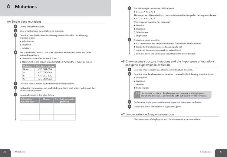 Produktbild: Leckie Higher Biology for Sqa 2019 and Beyond - Practice Workbook
