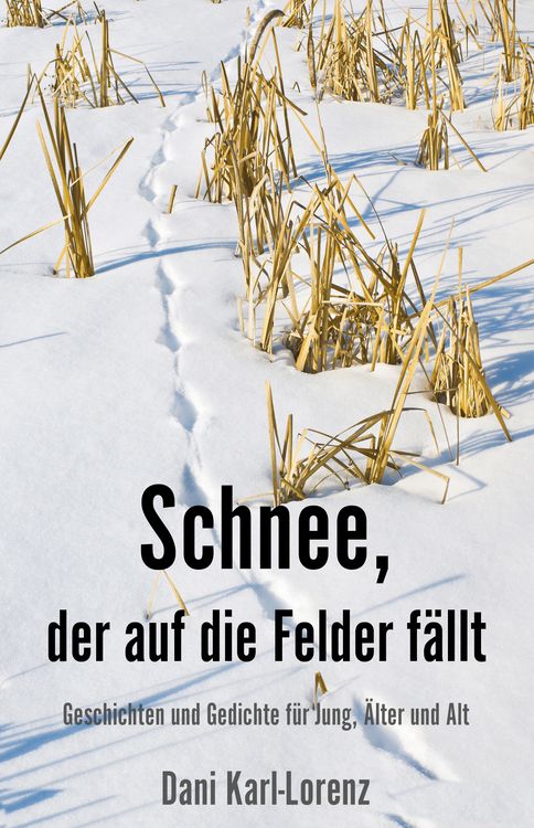 Produktbild: Schnee, der auf die Felder f&auml;llt