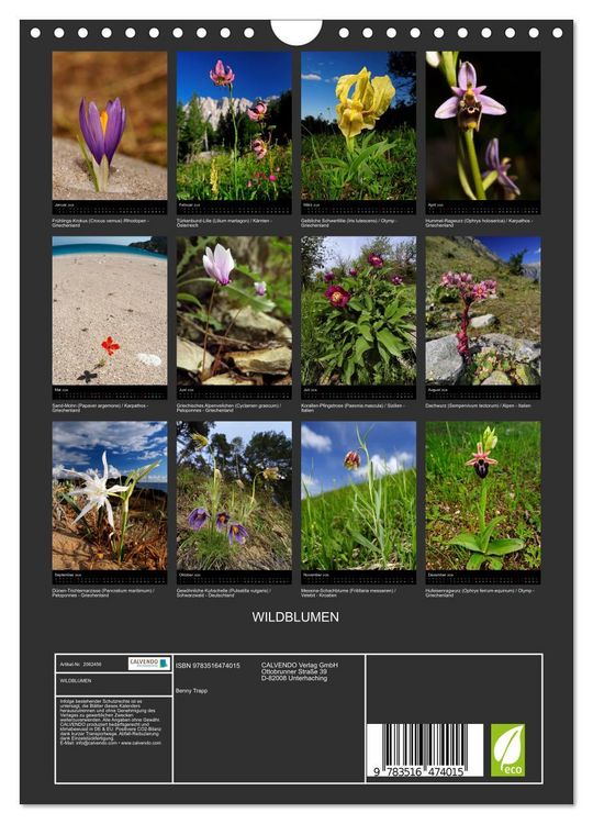 Produktbild: WILDBLUMEN (Wandkalender 2026 DIN A4 hoch), CALVENDO Monatskalender