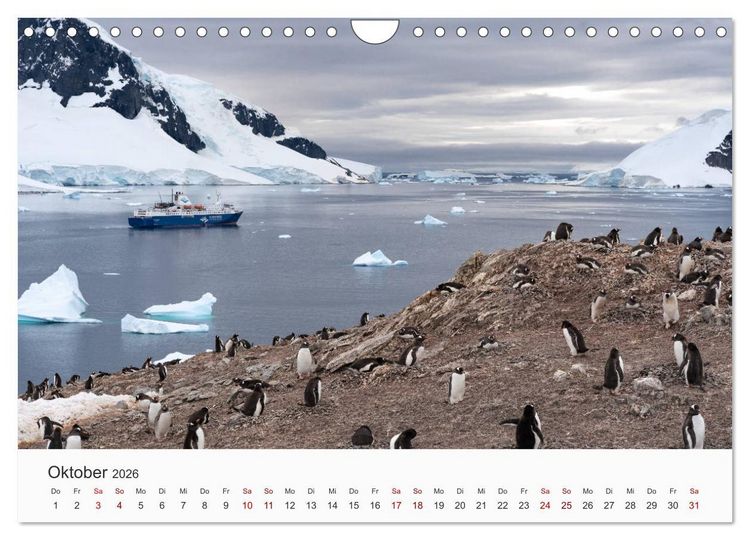Produktbild: Pinguine - Die sympathischen Frack-Tr&auml;ger (Wandkalender 2026 DIN A4 quer), CALVENDO Monatskalender