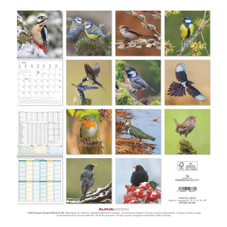 Produktbild: Einheimische Vögel 2026 - Broschürenkalender 30x30 cm (30x60 geöffnet) - Kalender mit Platz für Notizen - Birds - Bildkalender - Wandkalender - Vogelk