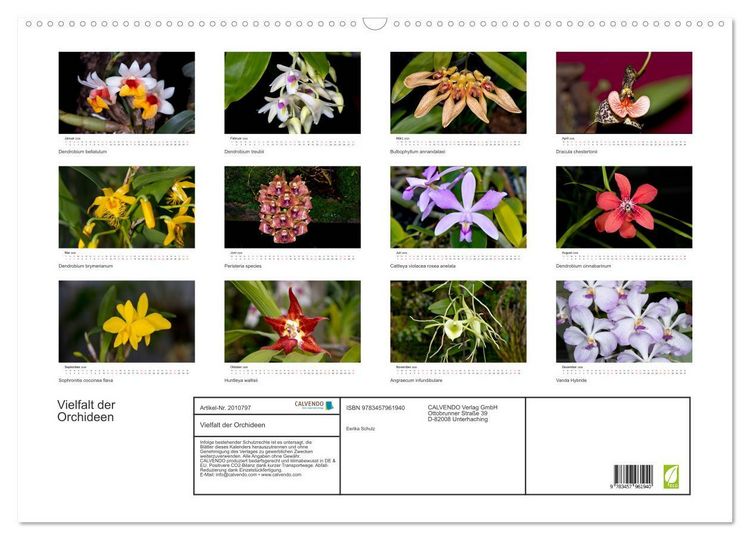 Produktbild: Vielfalt der Orchideen (Wandkalender 2026 DIN A2 quer), CALVENDO Monatskalender