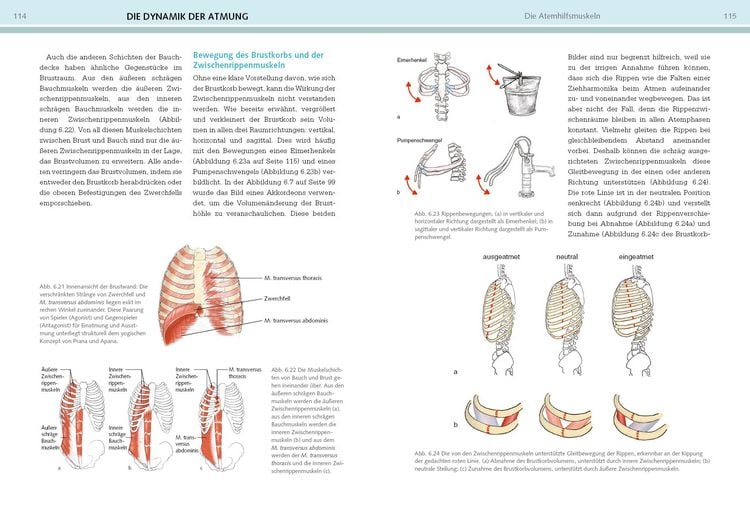 Produktbild: Yoga-Anatomie