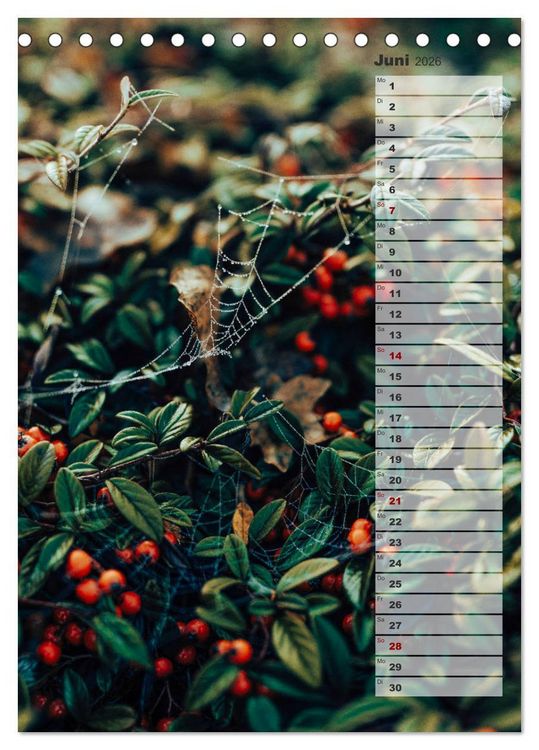 Produktbild: Kalender - Natur im Detail (Tischkalender 2026 DIN A5 hoch), CALVENDO Monatskalender