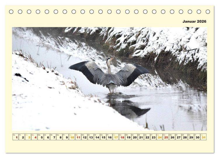 Produktbild: Unser Land im Norden (Tischkalender 2026 DIN A5 quer), CALVENDO Monatskalender