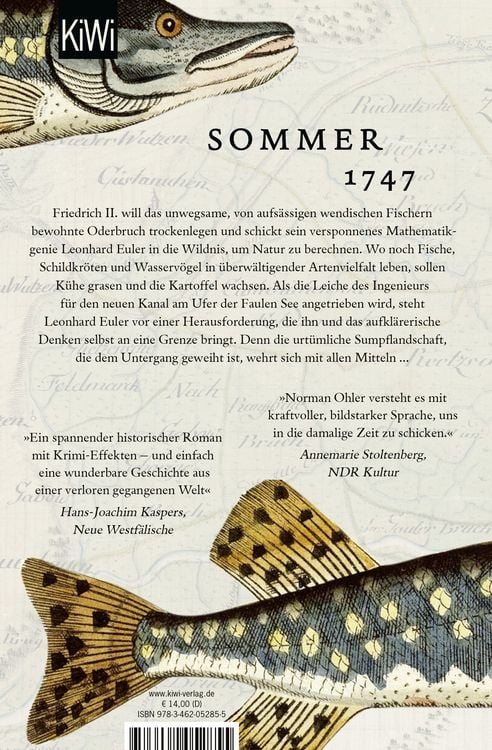 Produktbild: Die Gleichung des Lebens
