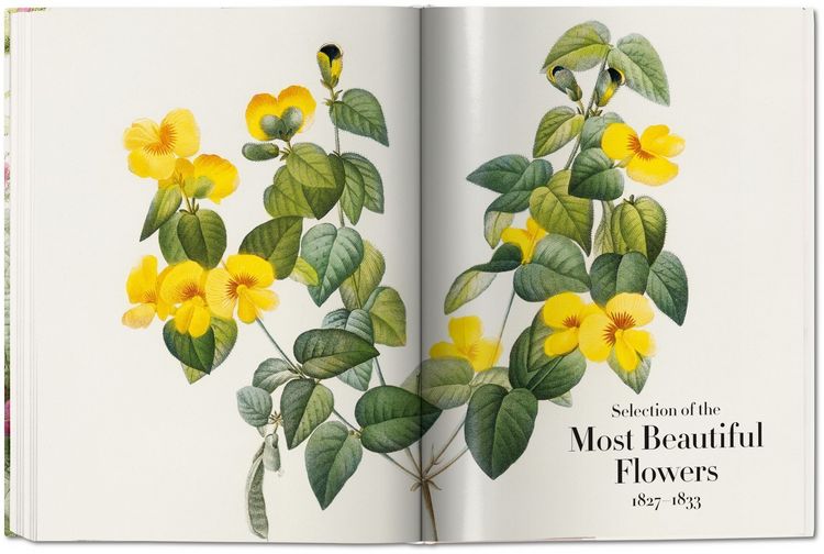 Produktbild: Redout&eacute;. The Book of Flowers