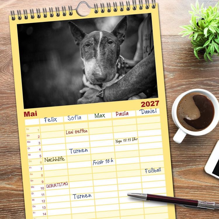 Produktbild: Familienplaner 2027 - Bullterrier mit 5 Spalten (Wandkalender, 21 x 45 cm) CALVENDO