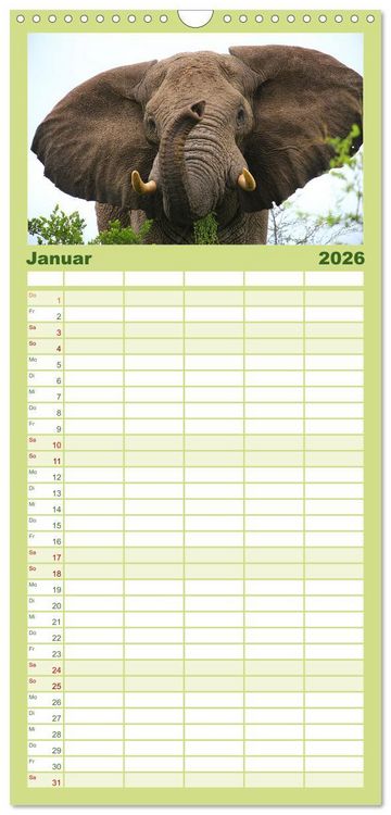 Produktbild: Familienplaner 2026 - Botswana- Pirschfahrt mit Garantie auf Wildlife mit 5 Spalten (Wandkalender, 21 x 45 cm) CALVENDO