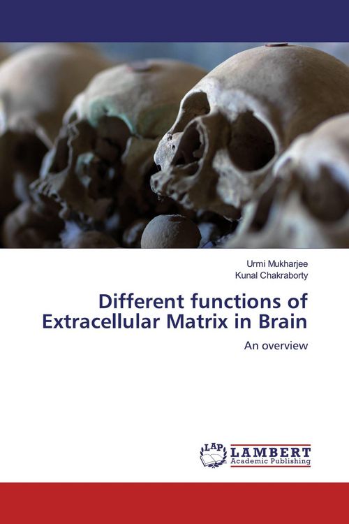 Produktbild: Different functions of Extracellular Matrix in Brain