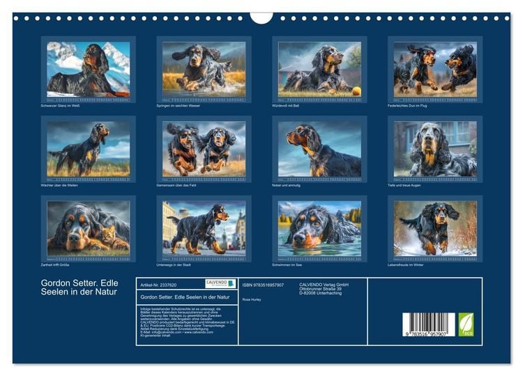 Produktbild: Gordon Setter. Edle Seelen in der Natur (Wandkalender 2027 DIN A3 quer), CALVENDO Monatskalender