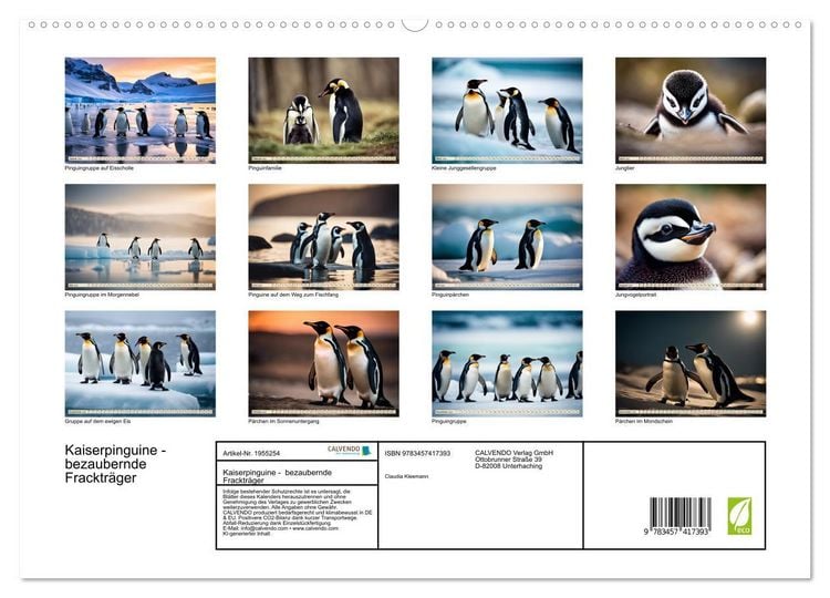 Produktbild: Kaiserpinguine - bezaubernde Fracktr&auml;ger (hochwertiger Premium Wandkalender 2026 DIN A2 quer), Kunstdruck in Hochglanz