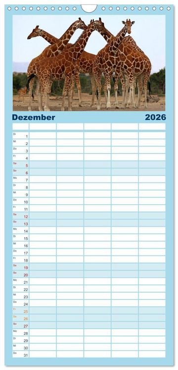 Produktbild: Familienplaner 2026 - Giraffen - Sanftheit und Anmut mit 5 Spalten (Wandkalender, 21 x 45 cm) CALVENDO