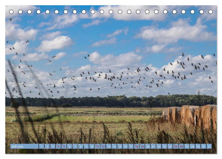 Produktbild: Stralsund und die Boddenlandschaft (Tischkalender 2026 DIN A5 quer), CALVENDO Monatskalender
