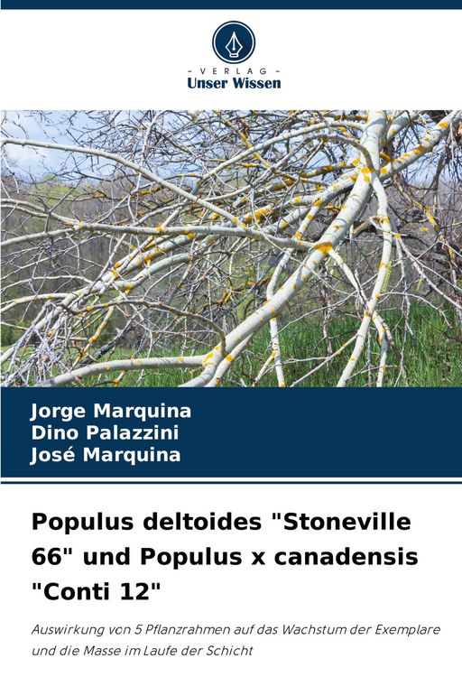 Produktbild: Populus deltoides "Stoneville 66" und Populus x canadensis "Conti 12"