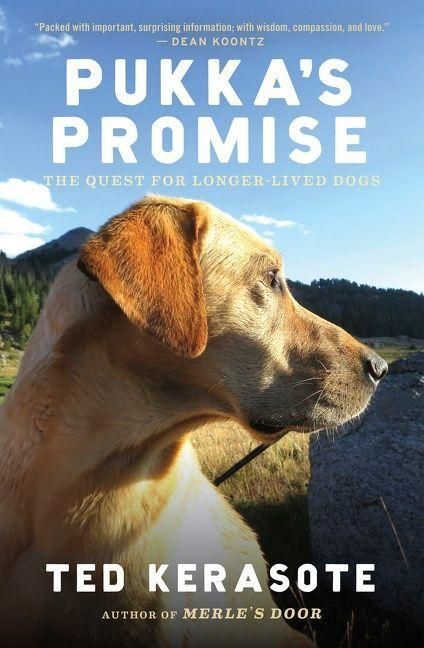Produktbild: Pukka's Promise