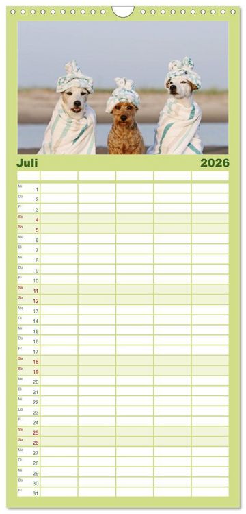 Produktbild: Familienplaner 2026 - Die Parson-Russell-Terrier ...mit neuen Abenteuern aus der Hundeknipserei mit 5 Spalten (Wandkalender, 21 x 45 cm) CALVENDO