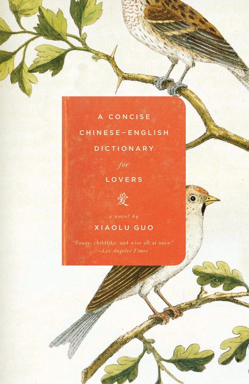 Produktbild: A Concise Chinese-English Dictionary for Lovers