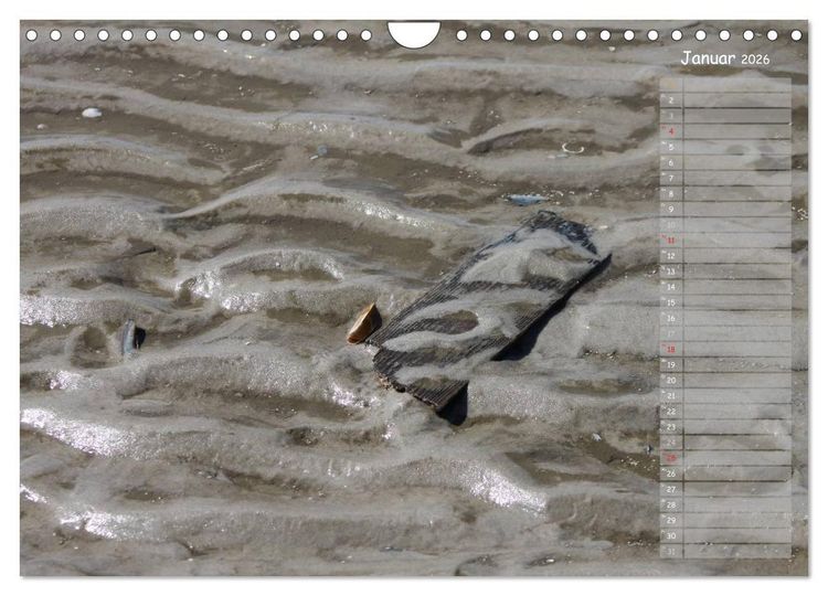 Produktbild: Strandspaziergang / Geburtstagskalender (Wandkalender 2026 DIN A4 quer), CALVENDO Monatskalender