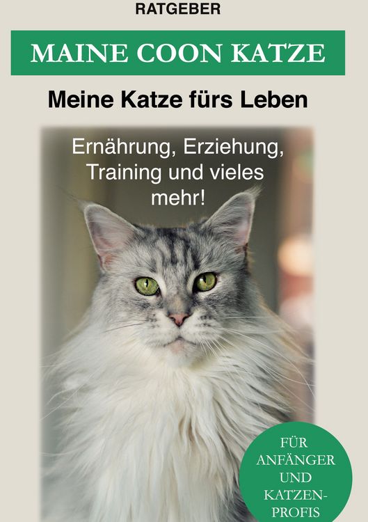 Produktbild: Maine Coon