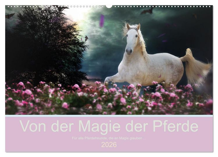 Produktbild: Von der Magie der Pferde (Wandkalender 2026 DIN A2 quer), CALVENDO Monatskalender