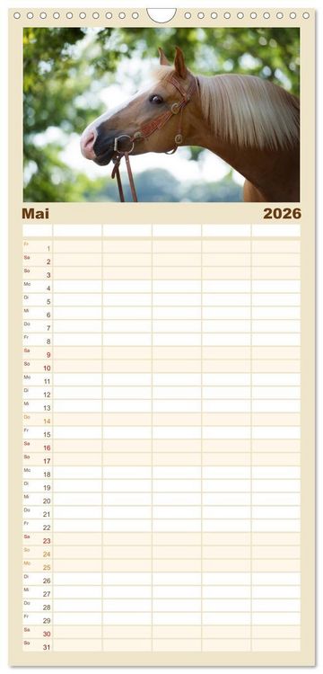 Produktbild: Familienplaner 2026 - Haflinger mit 5 Spalten (Wandkalender, 21 x 45 cm) CALVENDO