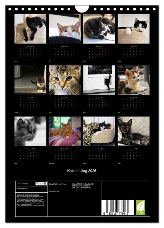 Produktbild: Katzenalltag 2026 (Wandkalender 2026 DIN A4 hoch), CALVENDO Monatskalender