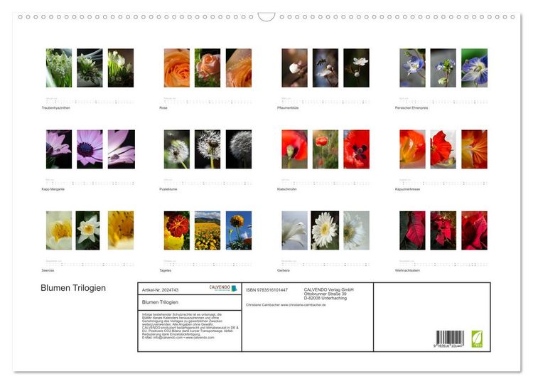 Produktbild: Blumen Trilogien (Wandkalender 2026 DIN A2 quer), CALVENDO Monatskalender
