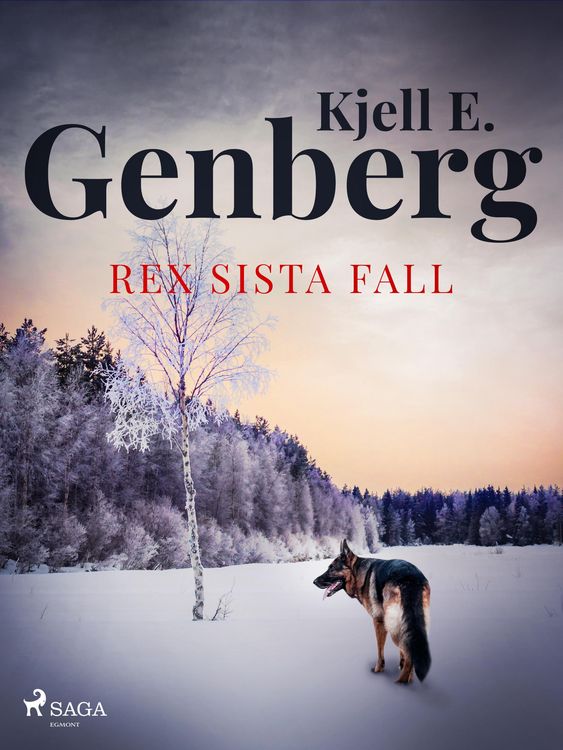 Produktbild: Rex sista fall