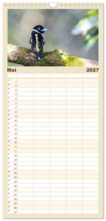Produktbild: Familienplaner 2027 - Zwischen Nebel und Baumriesen - V&ouml;gel Borneos mit 5 Spalten (Wandkalender, 21 x 45 cm) CALVENDO