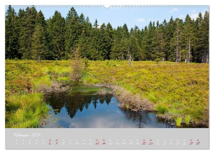 Produktbild: Th&uuml;ringer Wald Das Gr&uuml;ne Herz Deutschlands (hochwertiger Premium Wandkalender 2027 DIN A2 quer), Kunstdruck in Hochglanz