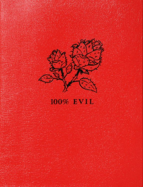 Produktbild: 100% Evil