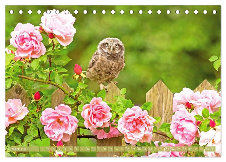 Produktbild: Wald-Kindergarten: Tierkinder im Wald (Tischkalender 2026 DIN A5 quer), CALVENDO Monatskalender