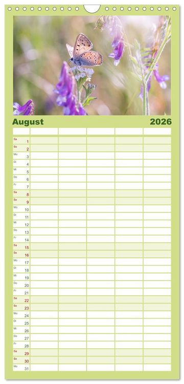 Produktbild: Familienplaner 2026 - Schmetterlinge. Schimmernde Zauberwesen mit 5 Spalten (Wandkalender, 21 x 45 cm) CALVENDO