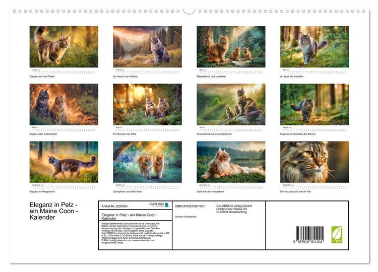 Produktbild: Eleganz in Pelz - ein Maine Coon - Kalender (hochwertiger Premium Wandkalender 2027 DIN A2 quer), Kunstdruck in Hochglanz