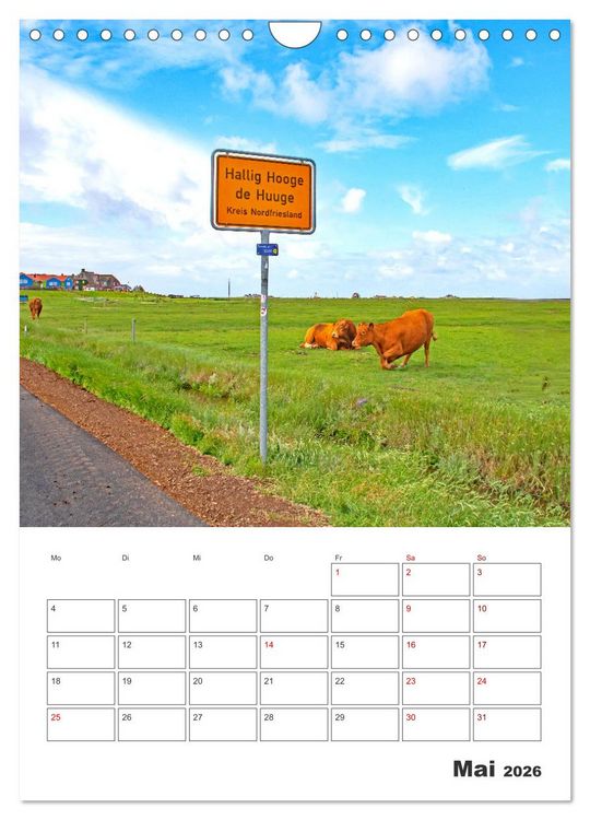 Produktbild: Hallig Hooge - Reiseplaner (Wandkalender 2026 DIN A4 hoch), CALVENDO Monatskalender