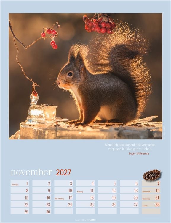 Produktbild: Eichh&ouml;rnchen Kalender 2027